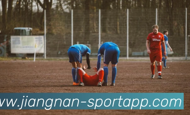 江南体育平台生态图