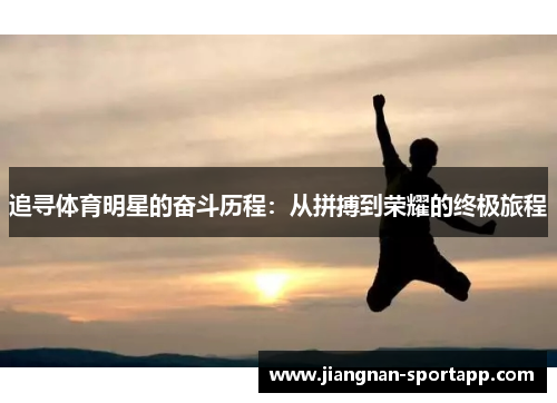 追寻体育明星的奋斗历程：从拼搏到荣耀的终极旅程